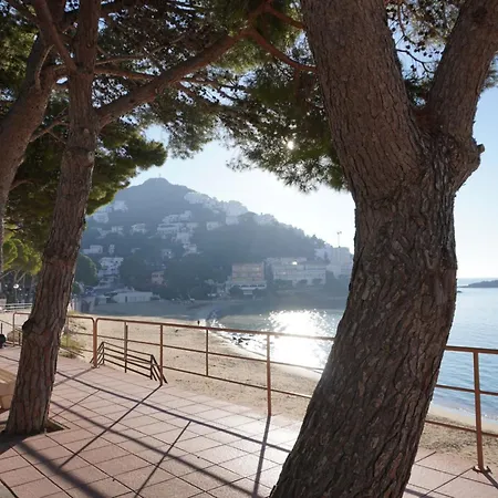 Apartment Solmar2 A 100 M, Terrasse Vue Mer, Parking, Wi-fi